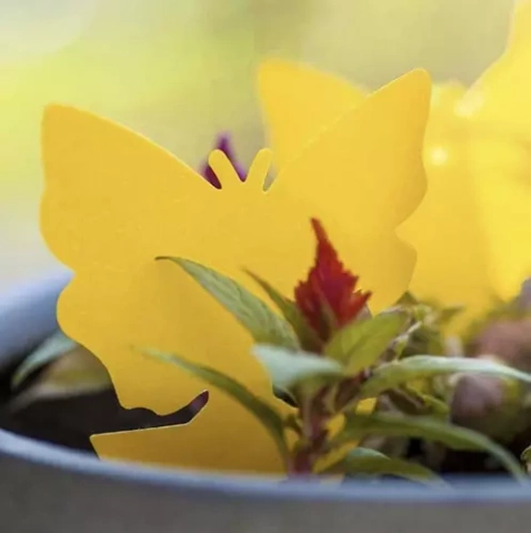 Insektenstäbchen - 12 Stk. Repest 19053