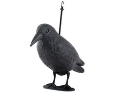 Répulsif oiseaux - corbeau