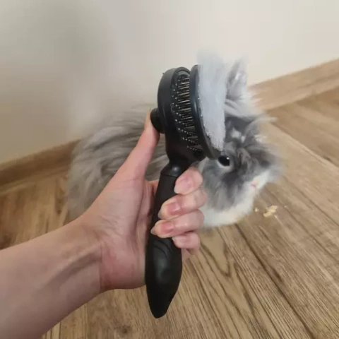 Self-cleaning fur brush
