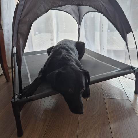 Panier couvert pour chien Purlov 25428
