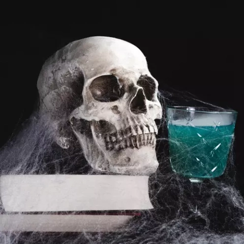 Artificial spider web + 2 spiders Malatec 19759