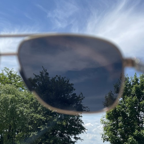 Trizand Sunglasses 23633