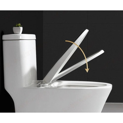 Ruhhy 24547 soft-close toilet seat