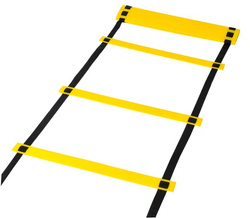 Training ladder