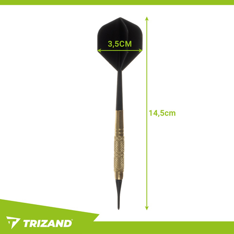 Darts-Set 12-tlg. + Spitzen Trizand 26100