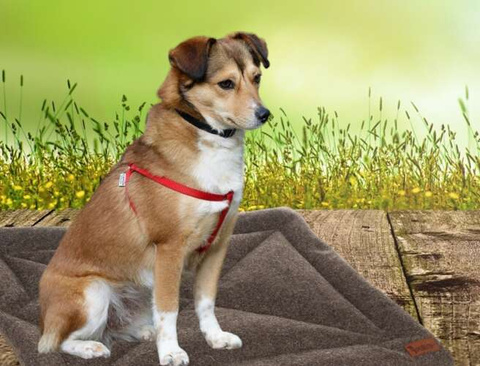 Dog bed Purlov 24593