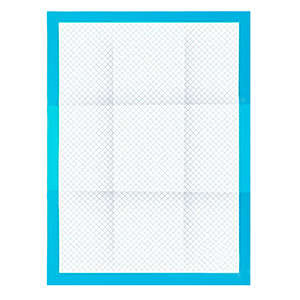 Absorbent hygienic pad - 100 pcs + bags