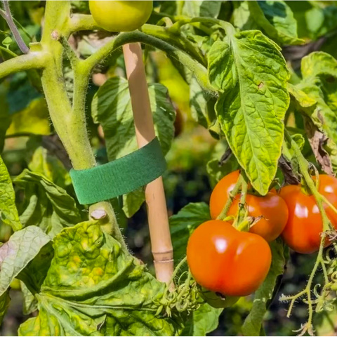 Klett-Gartenband 5m Gardlov 25362