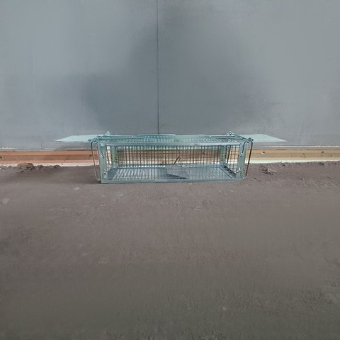 Repest 19051 live trap/rodent trap