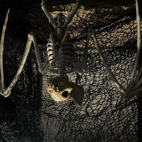 Bat skeleton - decoration 30cm Malatec 22005