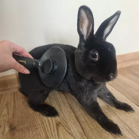 Self-cleaning fur brush