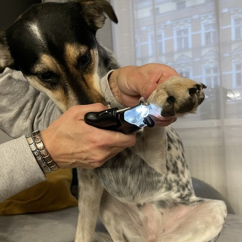 Purlov 24739 Nagelknipser für Hunde und Katzen
