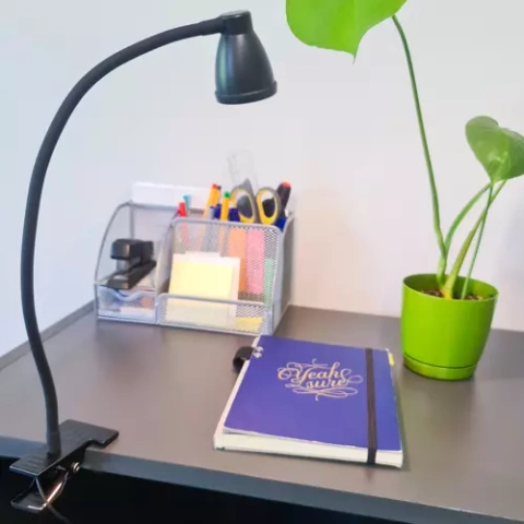Desk lamp with clip - black Izoxis 19454