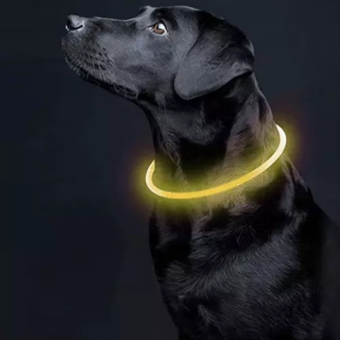 Collier réglable en lumière LED Purlov 21631