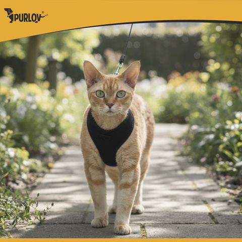 Harnais sans pression pour animaux XS Purlov 26869