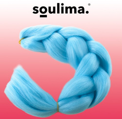 Synthetic Hair Braids - Blue