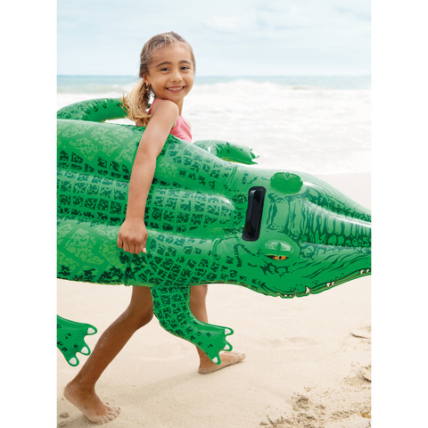 INTEX 58546 air mattress