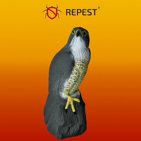 Répulsif oiseaux - faucon