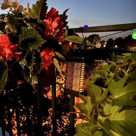 Solar lamp - Gardlov 24404 lantern