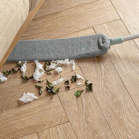 Telescopic dust brush with two attachments