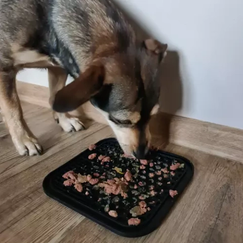 Anti-Stress-Matte/Hundetablett Purlov 19378