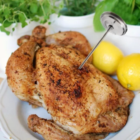 Malatec 23813 Bituminous Baking Thermometer