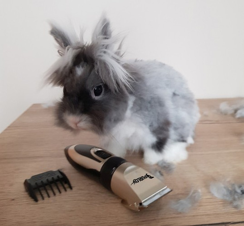 Dog clipper - set Purlov 24089