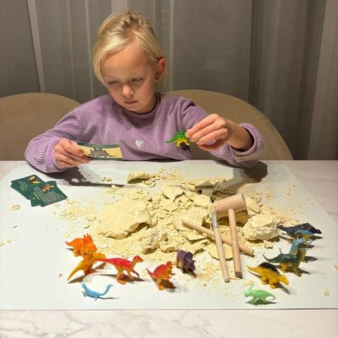 Dinosaurier-Ei – Ausgrabung 24981