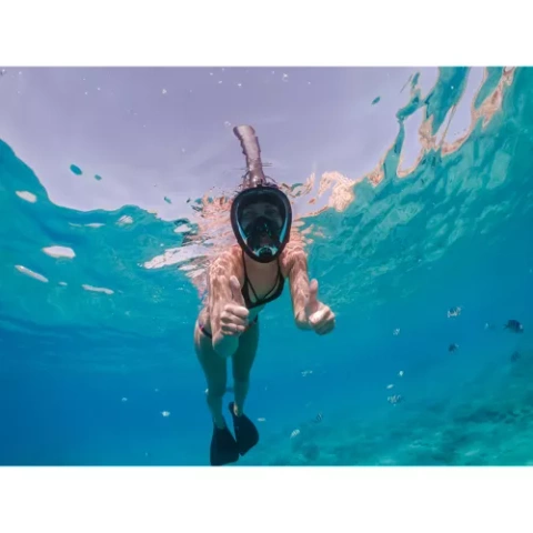 Full face snorkeling mask S/M part 23469