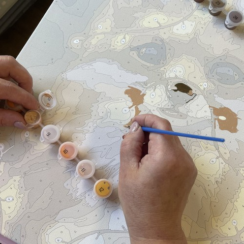 Painting by numbers 40x50cm - Maaleo fox 22782