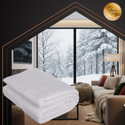 Surmatelas chauffant 203x152 Ruhhy26223