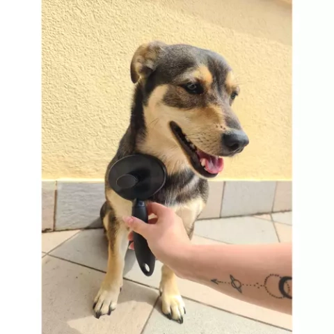 Self-cleaning fur brush