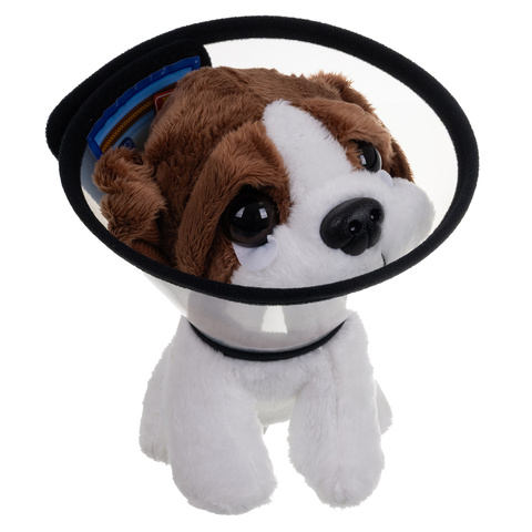 Mažo veterinaro rinkinys su nešiojimo dėže