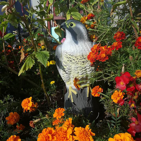 Vogelscheuche - Falke 23421