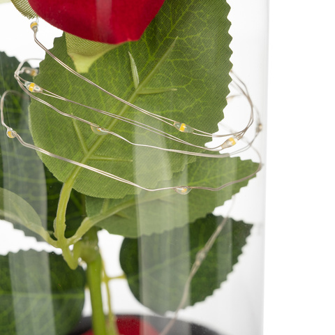 Rose in glass - shining Ruhhy 25682