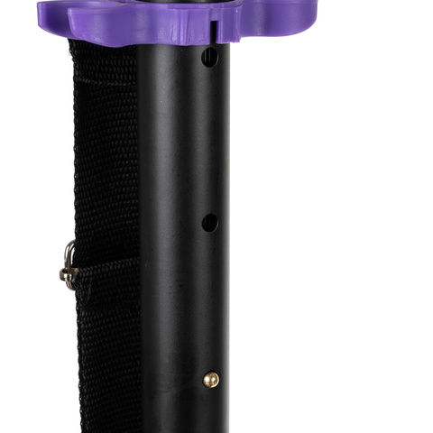 Spidoo paspirtukas violetinis Kruzzel 25630