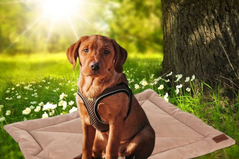 Purlov 24594 Hundebett