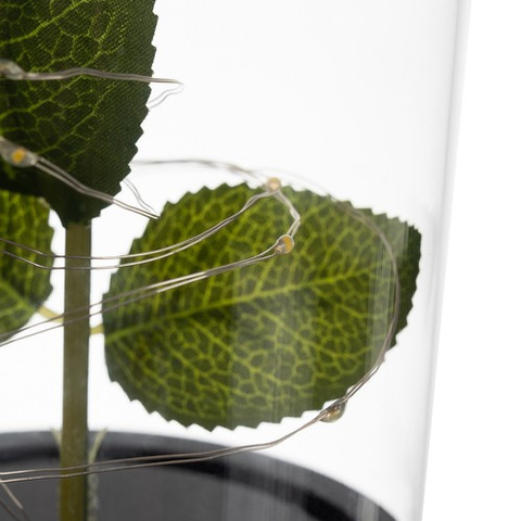 Rose in glass - luminous Malatec 21619