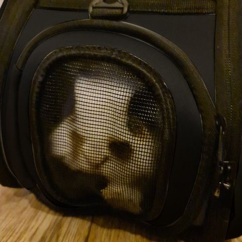 Sac de transport pour chien/chat - noir