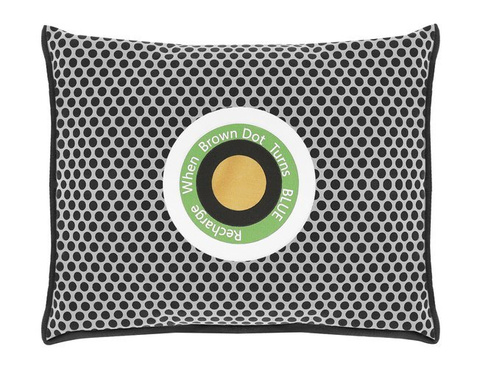 Dehumidifier - moisture absorber for car