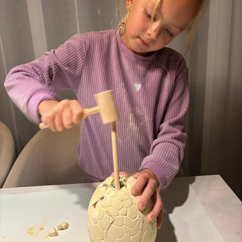 Dinosaur Egg - Excavation Site 24981