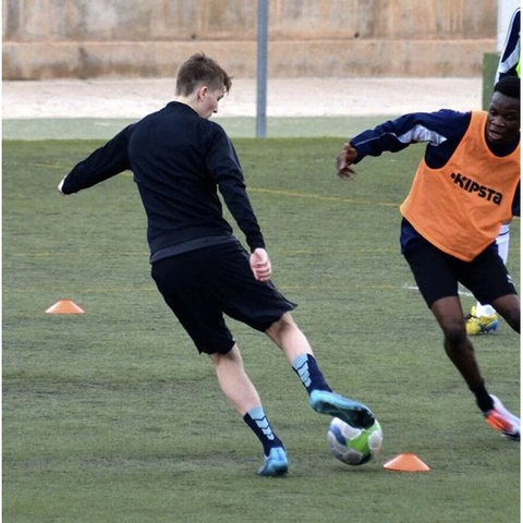 Training cones 23422