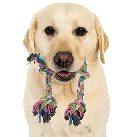 Jouet à mâcher pour chien, remorqueur - ensemble 25384