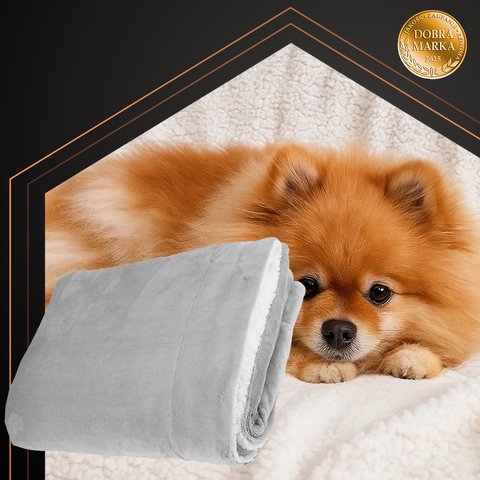 Double-sided blanket 150x200cm light gray Ruhhy 26293