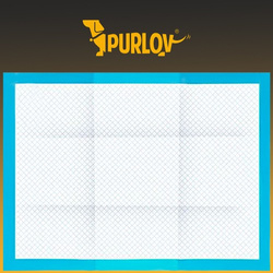 Absorbent hygienic pad - 100 pcs + bags