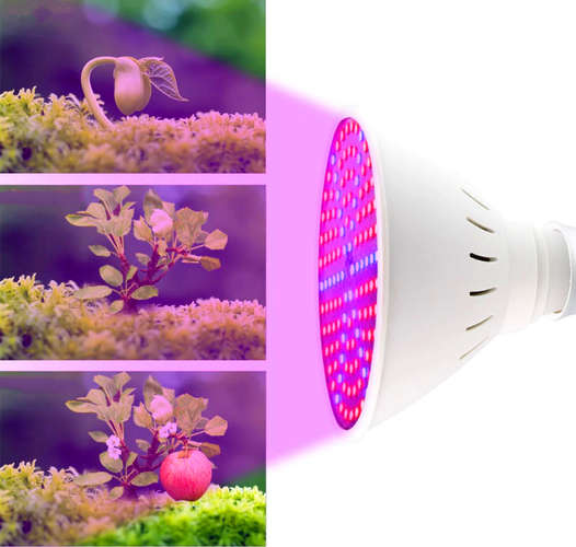 200 LED lempa augalų augimui