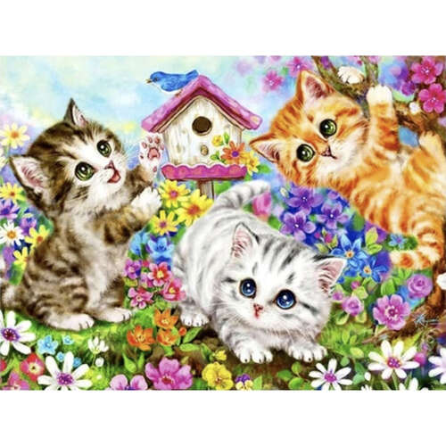 Tapyba pagal skaičius 40x50cm - Maaleo cats 22781