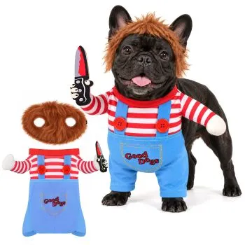 Dog Costume - Halloween, Size M, Purlov