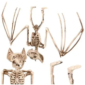 Šikšnosparnio skeletas – dekoracija, 30 cm, „Glimz“