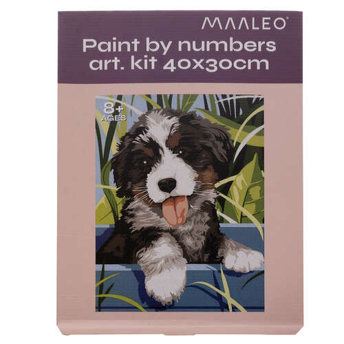 Картина по номерам 40х30см - Собака Маалео 22780